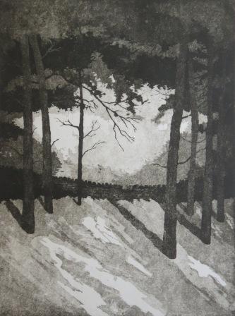 Etching of Pine trees at Hardcastle Crags, Calderdale