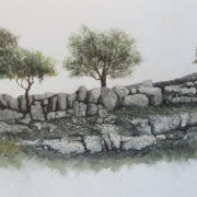 Limestone and Hawthorn